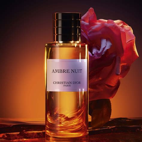 ambre nuit dior notes